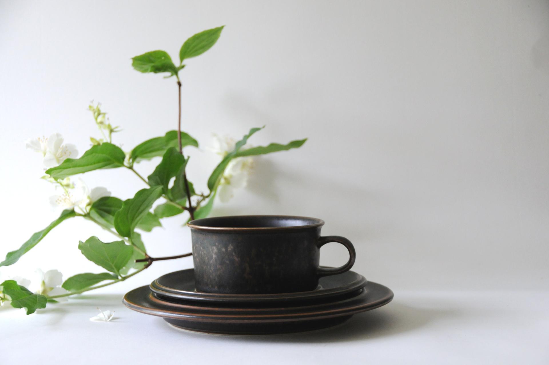 Arabia Finland RUSKA Tea set. Large Cup saucer and plate by Ulla Procope. Modern Stoneware Made in Finland